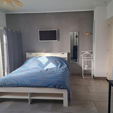 Studio Dans Maison Avec Jardin Et Balcon, Au Calme Sérézin-du-Rhône Zewnętrze zdjęcie