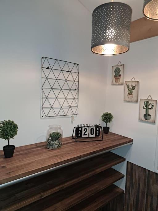 Studio Dans Maison Avec Jardin Et Balcon, Au Calme Sérézin-du-Rhône Zewnętrze zdjęcie