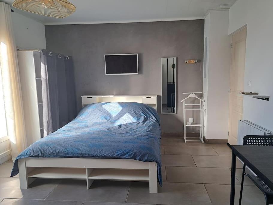 Studio Dans Maison Avec Jardin Et Balcon, Au Calme Sérézin-du-Rhône Zewnętrze zdjęcie