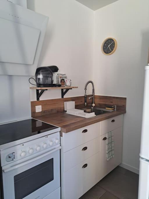 Studio Dans Maison Avec Jardin Et Balcon, Au Calme Sérézin-du-Rhône Zewnętrze zdjęcie