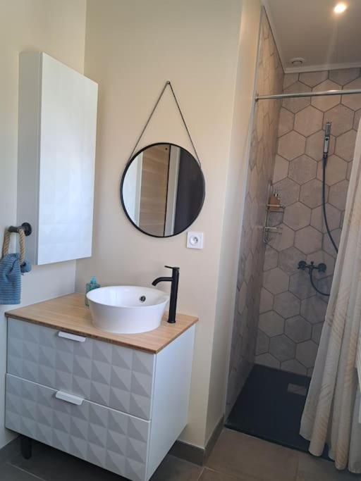 Studio Dans Maison Avec Jardin Et Balcon, Au Calme Sérézin-du-Rhône Zewnętrze zdjęcie